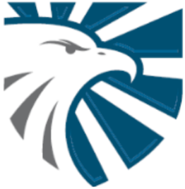 VSG Solutions Group